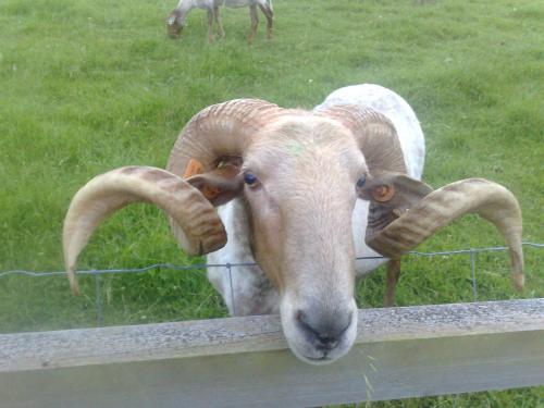 Paraje del Asturcon - Adults only Paraje del Asturcon - Adults only