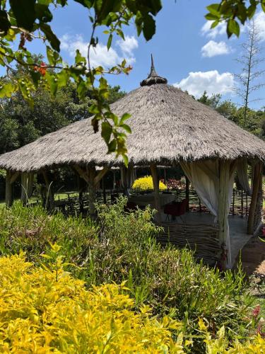 Restaurant, Oreteti Mara Lodge in Narok
