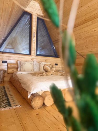 Cabana A Vic in Bicaz