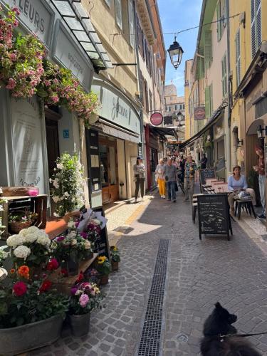 5 SADE - Apartment in Antibes old town