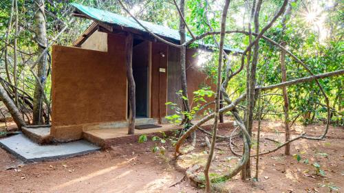 Sigiri Jungle Camping - image 3