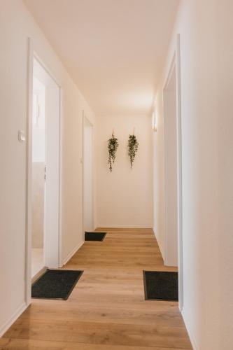 Next Lap - Rooms in Quiddelbach
