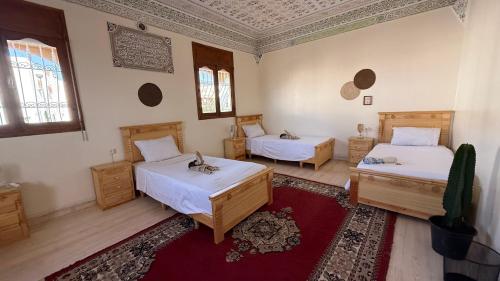 Tidmi Wave Anza, Agadir