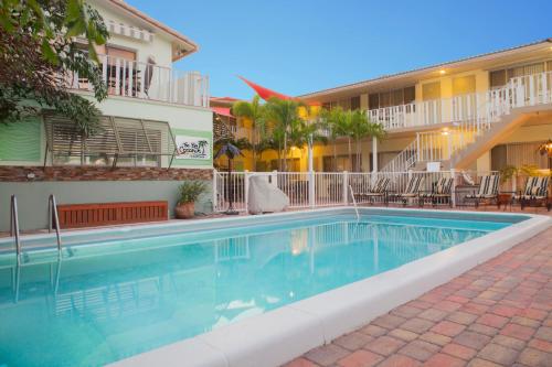 Swimming pool, The Big Coconut Guesthouse - Gay Men's Resort near Fort Lauderdale Beach