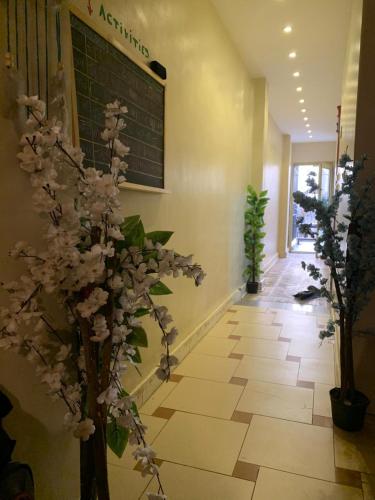 Green hostel in Cairo