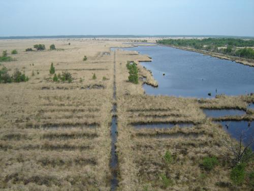 Bitter en Zoet - image 8