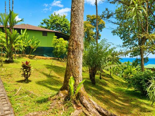 Dārzs, Casa Jade in Drake Bay