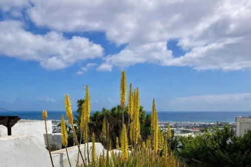 Pandangan, finca del sol lanzarote - sea view studio in Guime