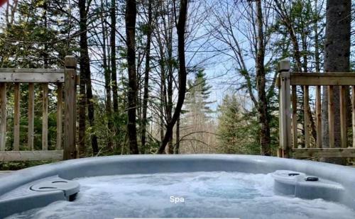 Petit bouleau - spa and electric charging station in Mansonville (QC)