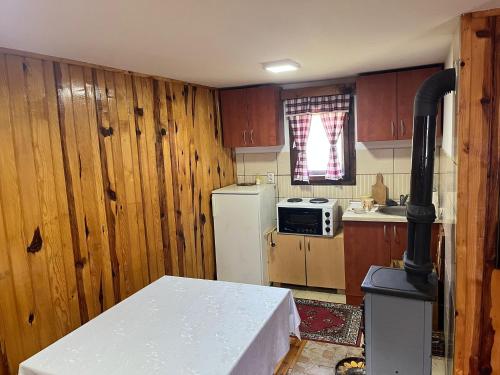 Apartman Rakovica Zlatibor - image 3
