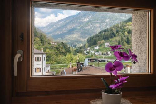 Dolomites Relax Fully Equipped Apartment & Private Parking in Perarolo di Cadore