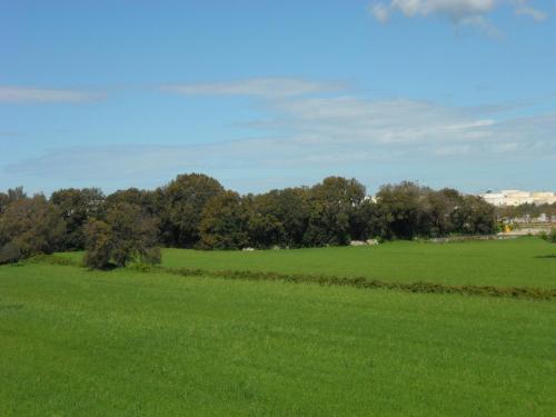Masseria Gattamora - image 10