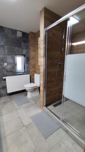 Bathroom, Apartman Kozolupy in Tlucna