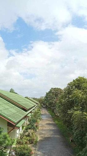 The Green Forest Resort