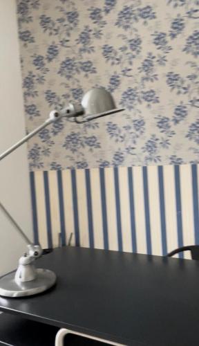  spacious apartment close to the University in Nijmegen