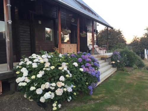 山景度假屋 山景度假屋