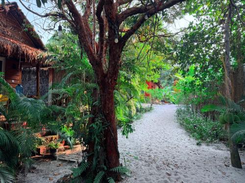 Sunny Bungalow in Koh Rong Sanloem