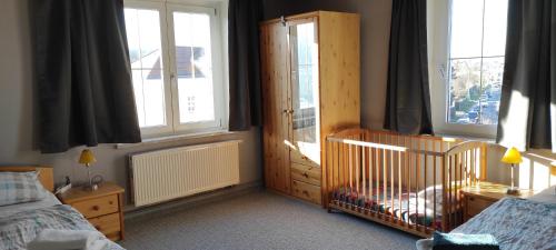 Apartment mit Balkon, Drážďany (fotografie 10)