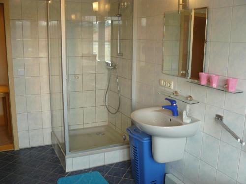 Apartment mit Balkon, Drážďany (fotografie 7)