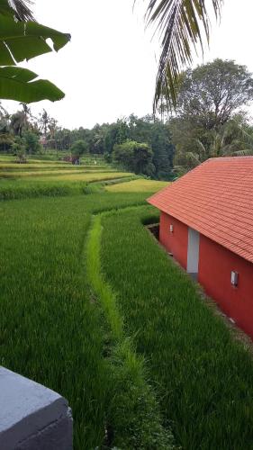 Lotus Guesthouse