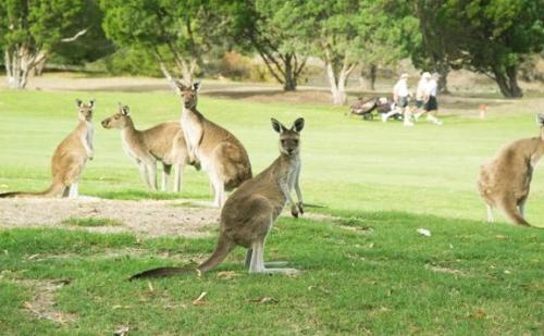 Joondalup Apartment