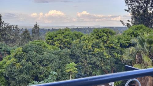 Viesnīcas āriene, H&Dluxe in Sagana