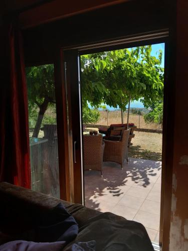 Dārzs, Mulberry Tree in Agia Anna (Euboea)