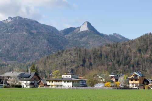 Ferienwohnung Primula - Urlaub am Wolfgangsee in Kleefeld