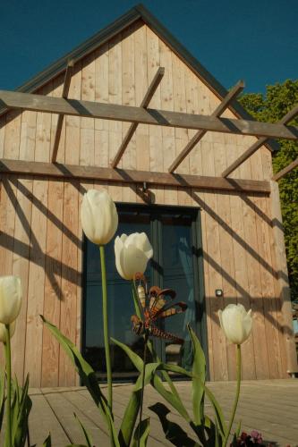Petite maison bois cosy 3p, cadre paisible, randos in Allaire