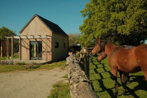 Petite maison bois cosy 3p, cadre paisible, randos in Allaire