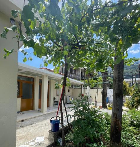 外觀, Private Garden House -Central Permet in 佩爾梅特