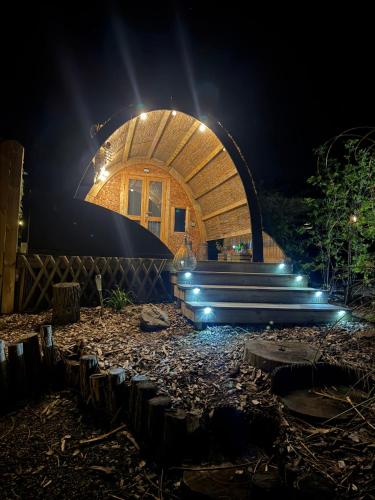 . La cabane de l'étang