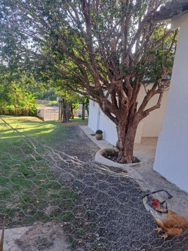 Pedacinho na Roça (Pedacinho na Roca) in Aguas de Sao Pedro (Sao Paulo)