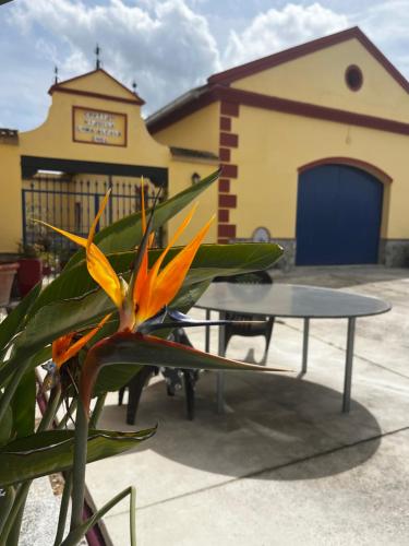 Chalet Suizo in Junta de los Ríos