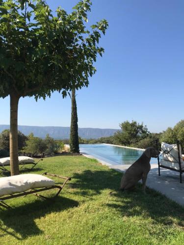 Les Savournins Gordes - La Borie des Alpilles