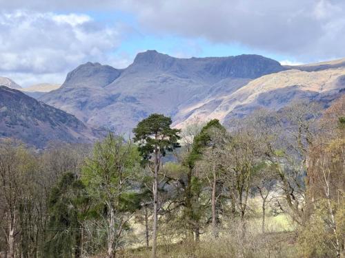 Lake District Woodland Cabin - Close to Ambleside & Langdale Valley - image 2