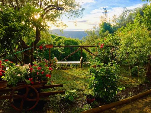 Cilento House with Garden & Sunset View in 塞薩奇倫托