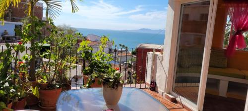Oceanview Old Town 6 blocks to the beach and Malecon
