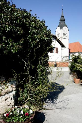 Baroque villa near Bled - Resort Vidmar