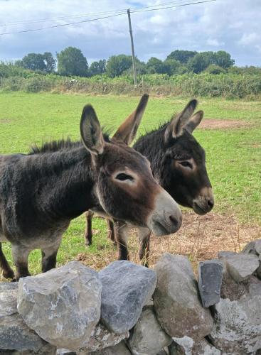 Cosy Claregalway Cottage in Claregalway