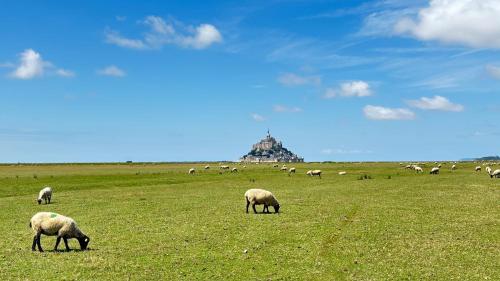 Le Repère du Gerfaut - Sur la route du Mont-St-Michel (Le Repere du Gerfaut - Sur la route du Mont-St-Michel) in Ducey