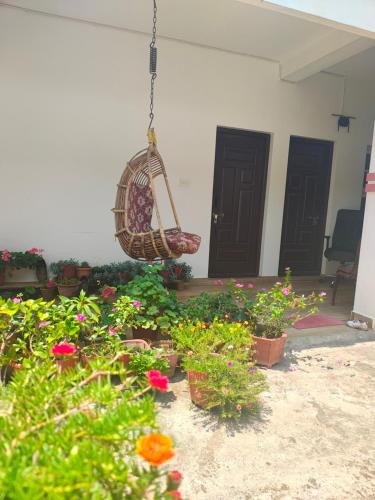 Cozy House homestay kushalnagar - Coorg Cozy House homestay kushalnagar - Coorg