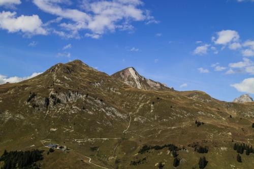 Hotel Alpenblick