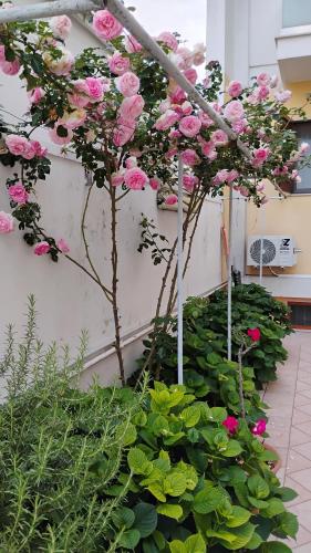  Residenza Del Sole in Surbo