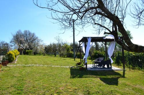 Dārzs, Casa Naéchis - Tamerò Estates (Casa Naechis - Tamero Estates) in Montopoli Di Sabina