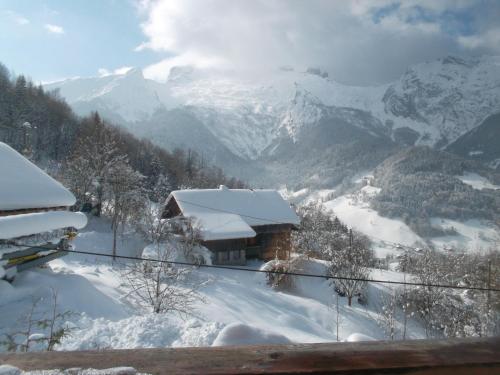 Les Jonquilles - Chalet - Les Clefs