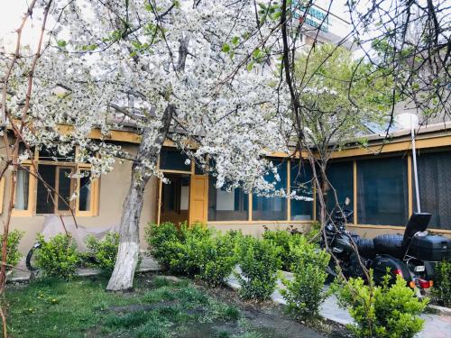 Hunza Backpackers Inn - Hunza