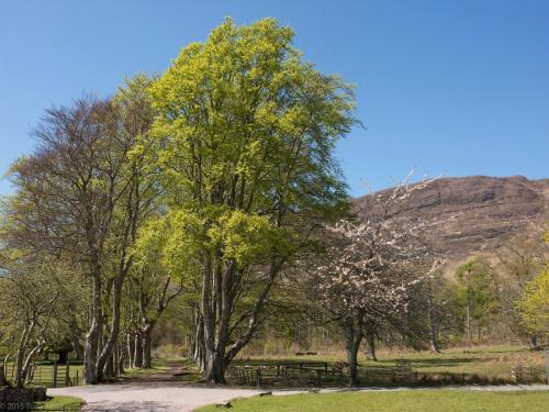 Iekārtas, 2 Bed in Applecross oc-ca422 in Eplkrosa