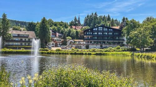 Hotels am Kranichsee in Hahnenklee-Bockswiese, Deutschland
