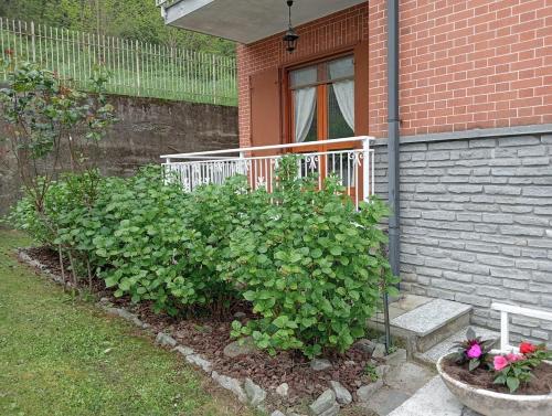 Il Ciliegio - Appartamento in Villa con Giardino in Castiglione Torinese